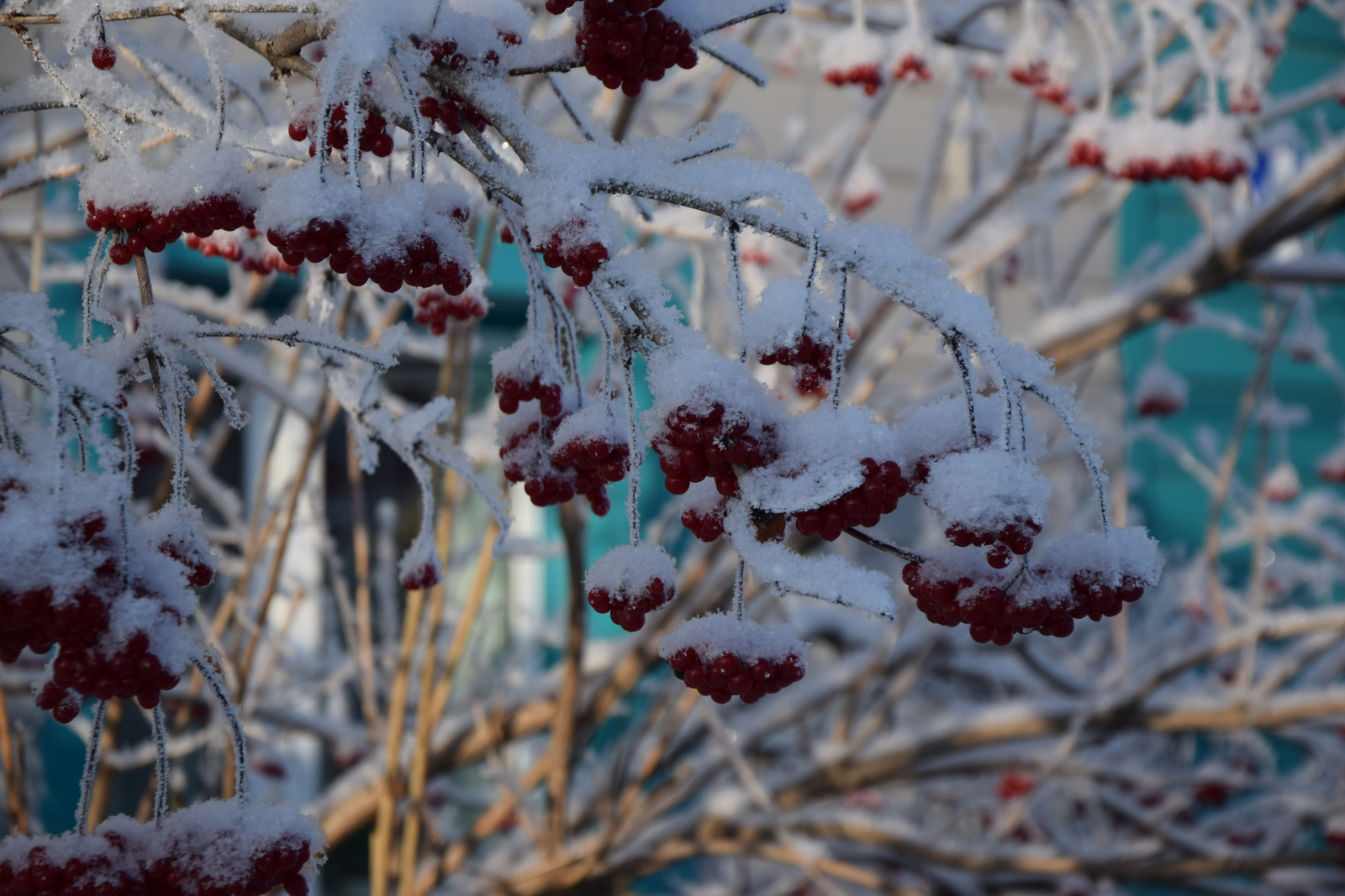 Башкирию накроет аномальная волна тепла до +16 градусов
