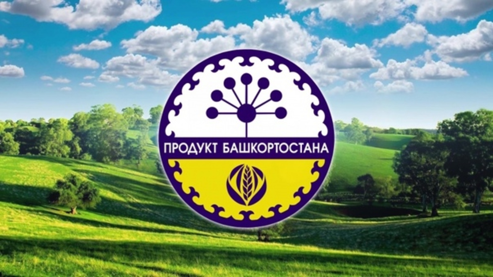 Знаком «Продукт Башкортостана» маркируют более 25 тысяч товаров республиканских производителей