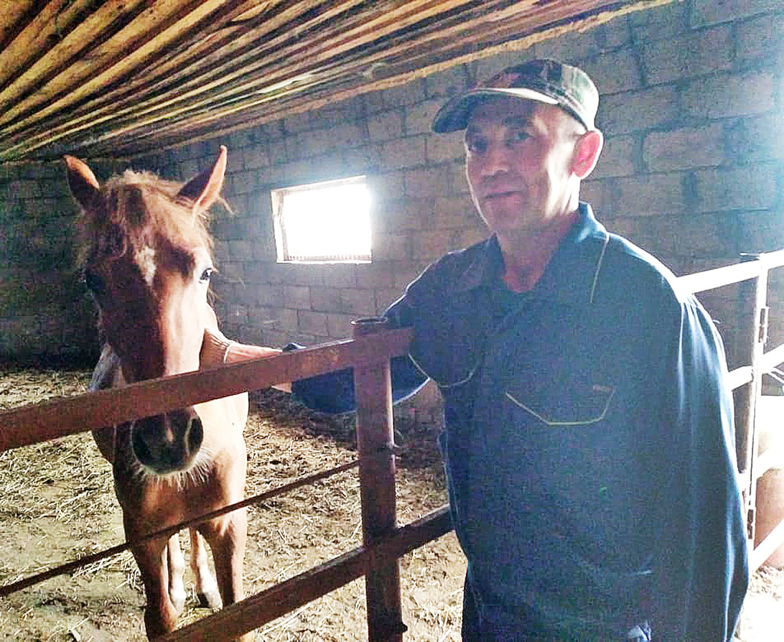 Предприниматель из Нижних Термов занимается откормом скота