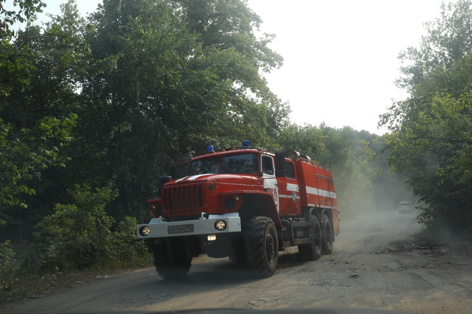 Башкирия закупит технику для охраны лесов по нацпроекту