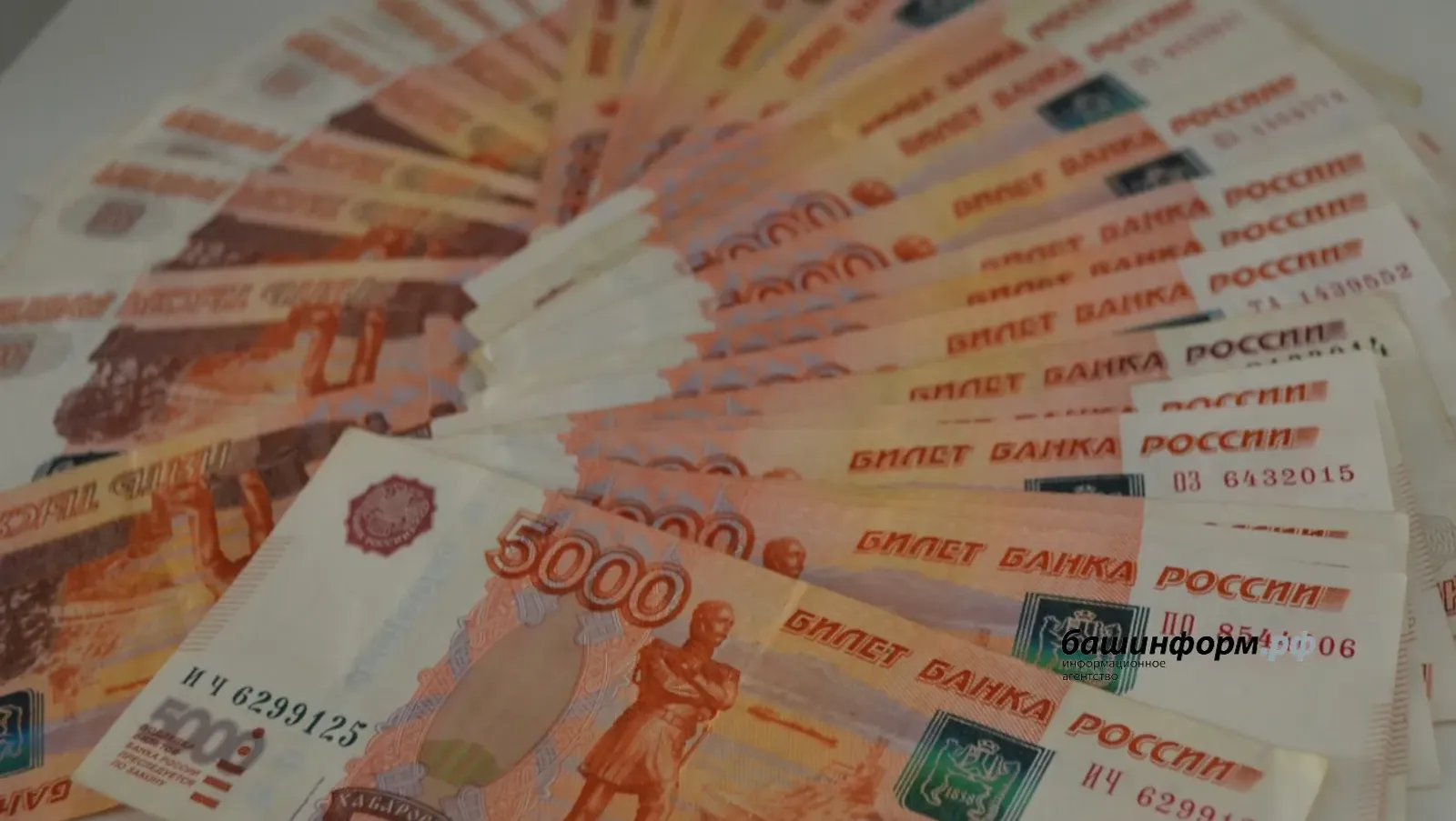 Мошенники похитили более 1,7 млн рублей у матери участника СВО в Башкирии