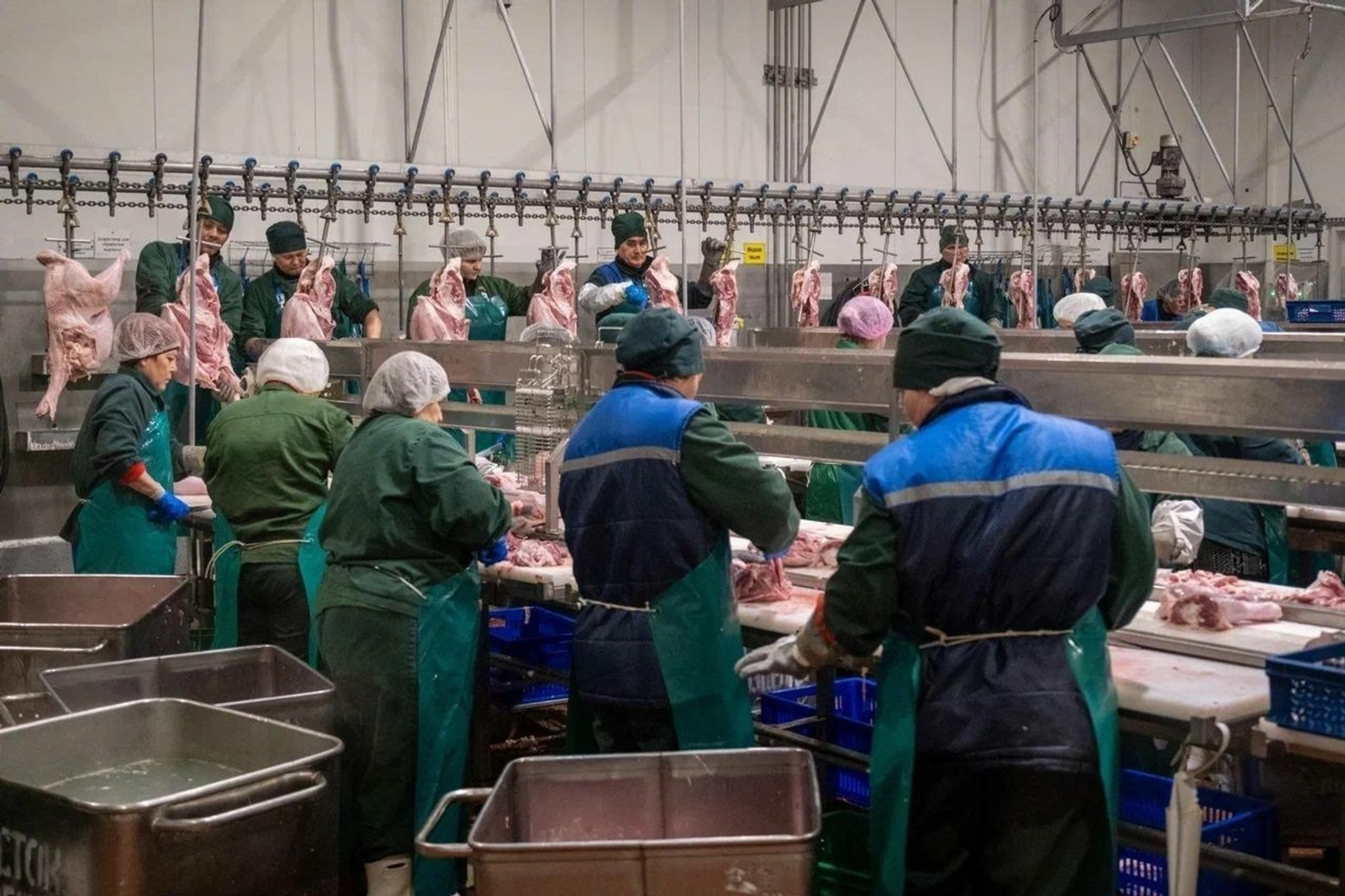 Башкирская индейка отправилась в Африку