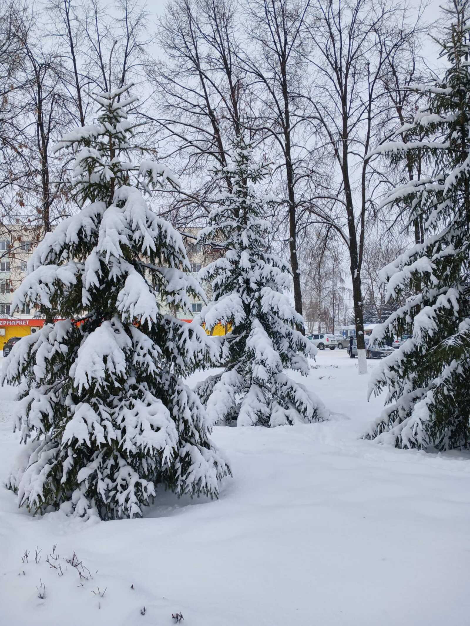 В Башкирию возвращаются снегопады