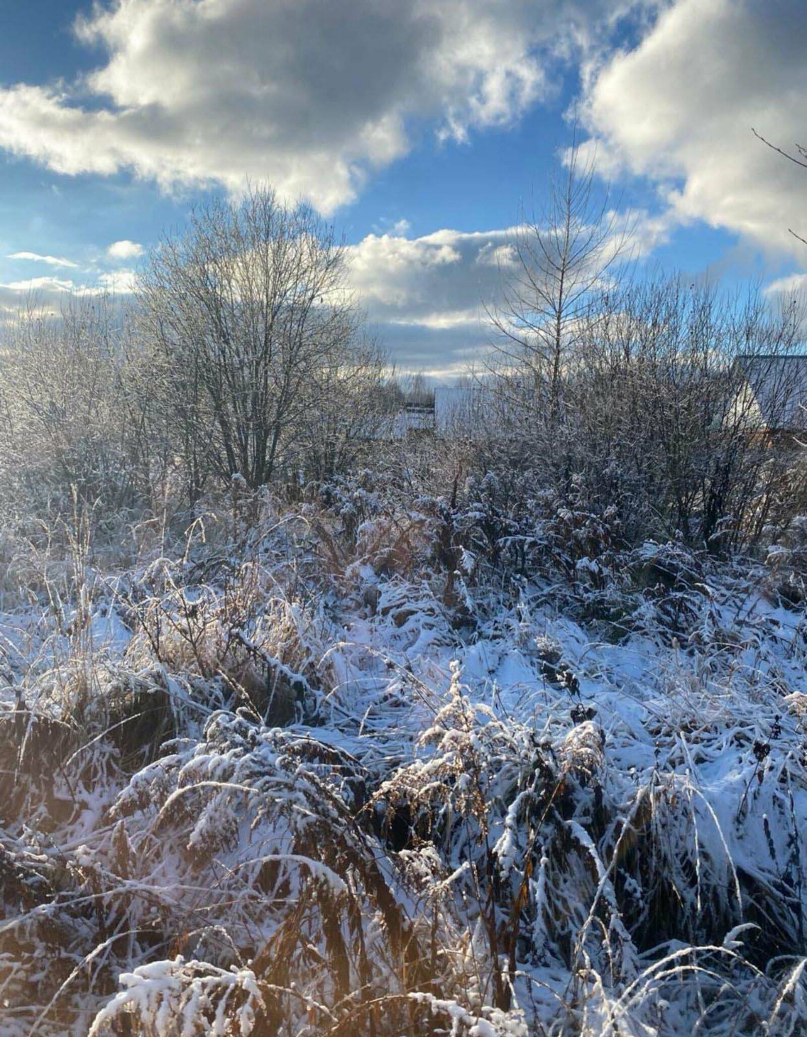 Синоптики Башкирии дали прогноз на зиму и начало весны