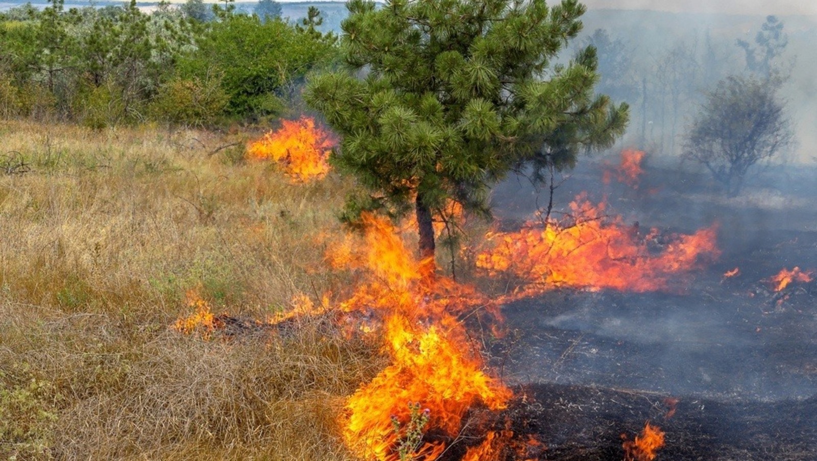 Госкомитет РБ по ЧС предупредил об опасности возникновения пожаров  на предстоящий период