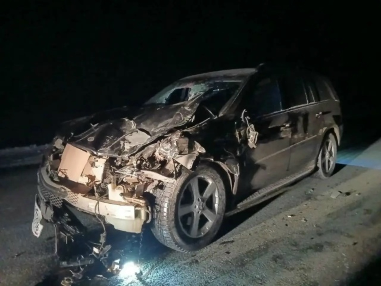 В Башкирии Mercedes влетел в табун лошадей