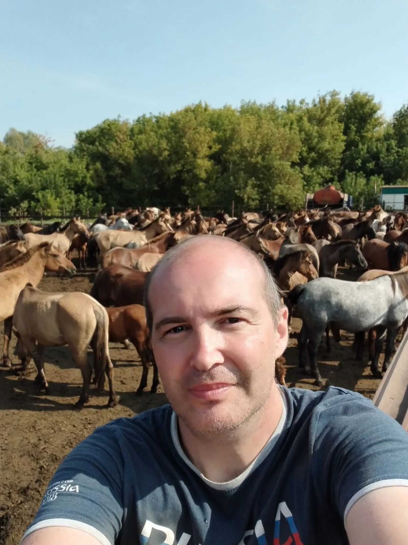 Как Башкирия сохраняет уникальную породу лошадей
