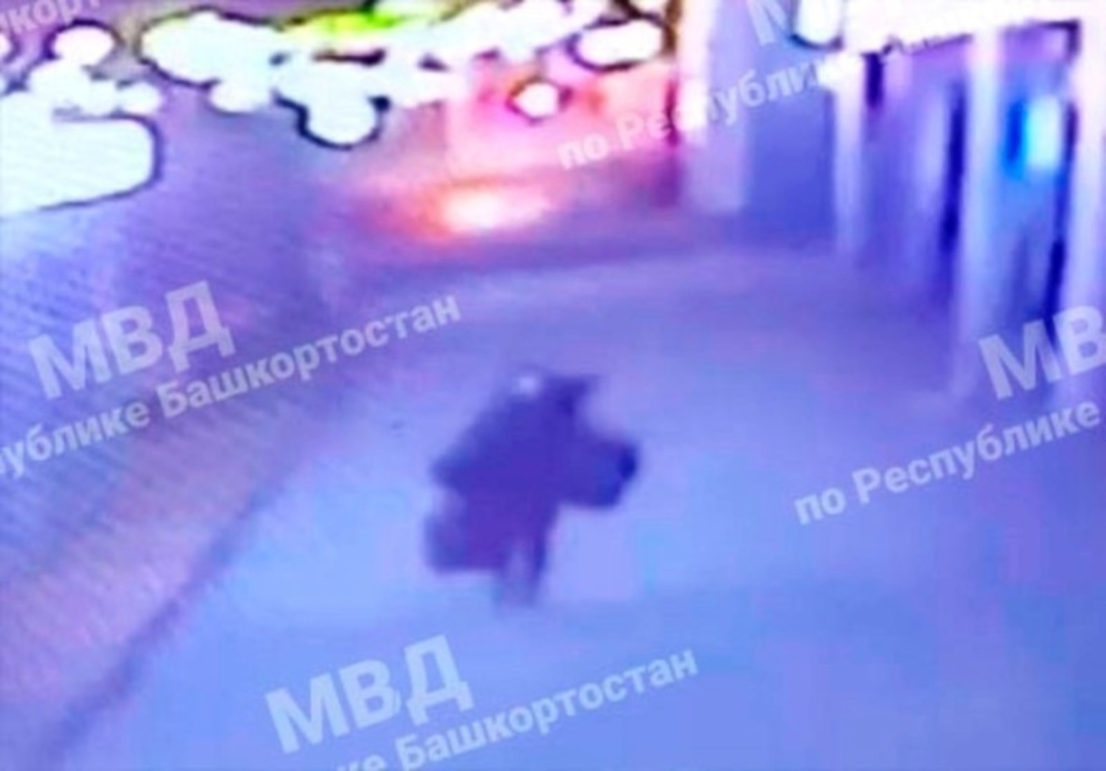 Житель Башкирии совершил дерзкую  кражу в торговом центре