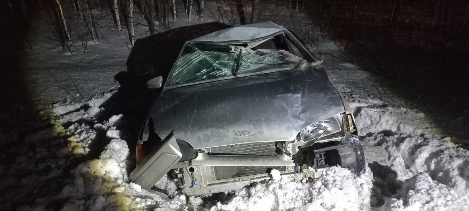 Молодой водитель насмерть сбил лося в Башкирии