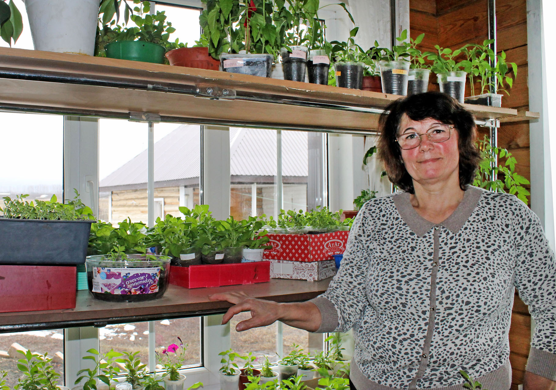 Филия Урманова из села Сафарово выращивает рассаду овощей и цветов разных сортов