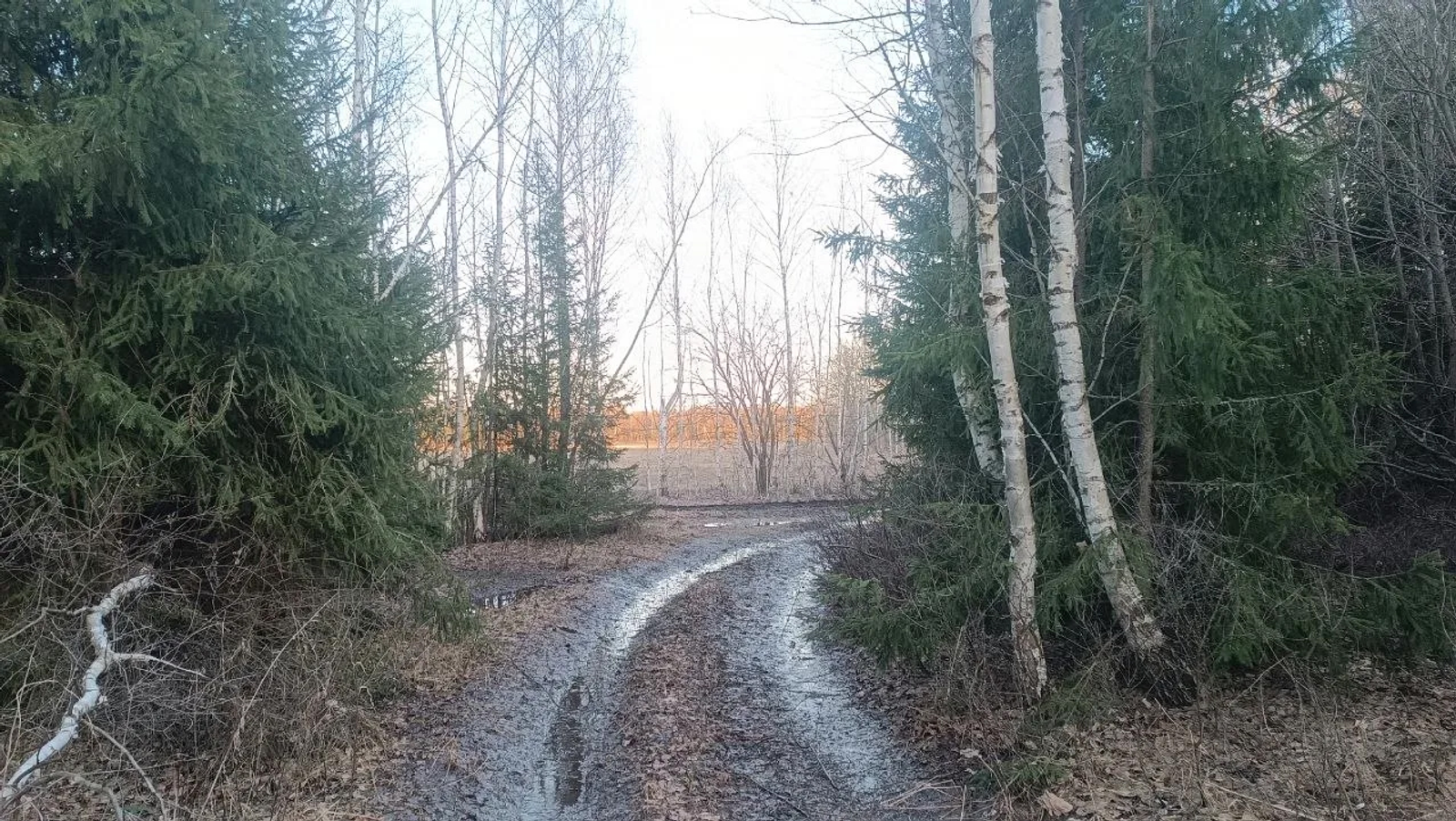 Башкирию ждут дожди и переменчивая погода