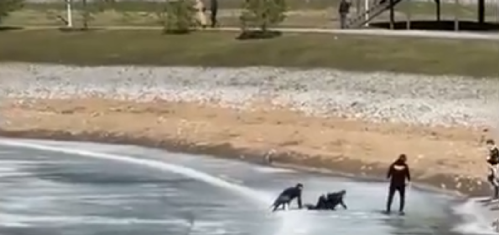 Героический поступок школьницы в Уфе: спасая рыбака, сама оказалась в воде