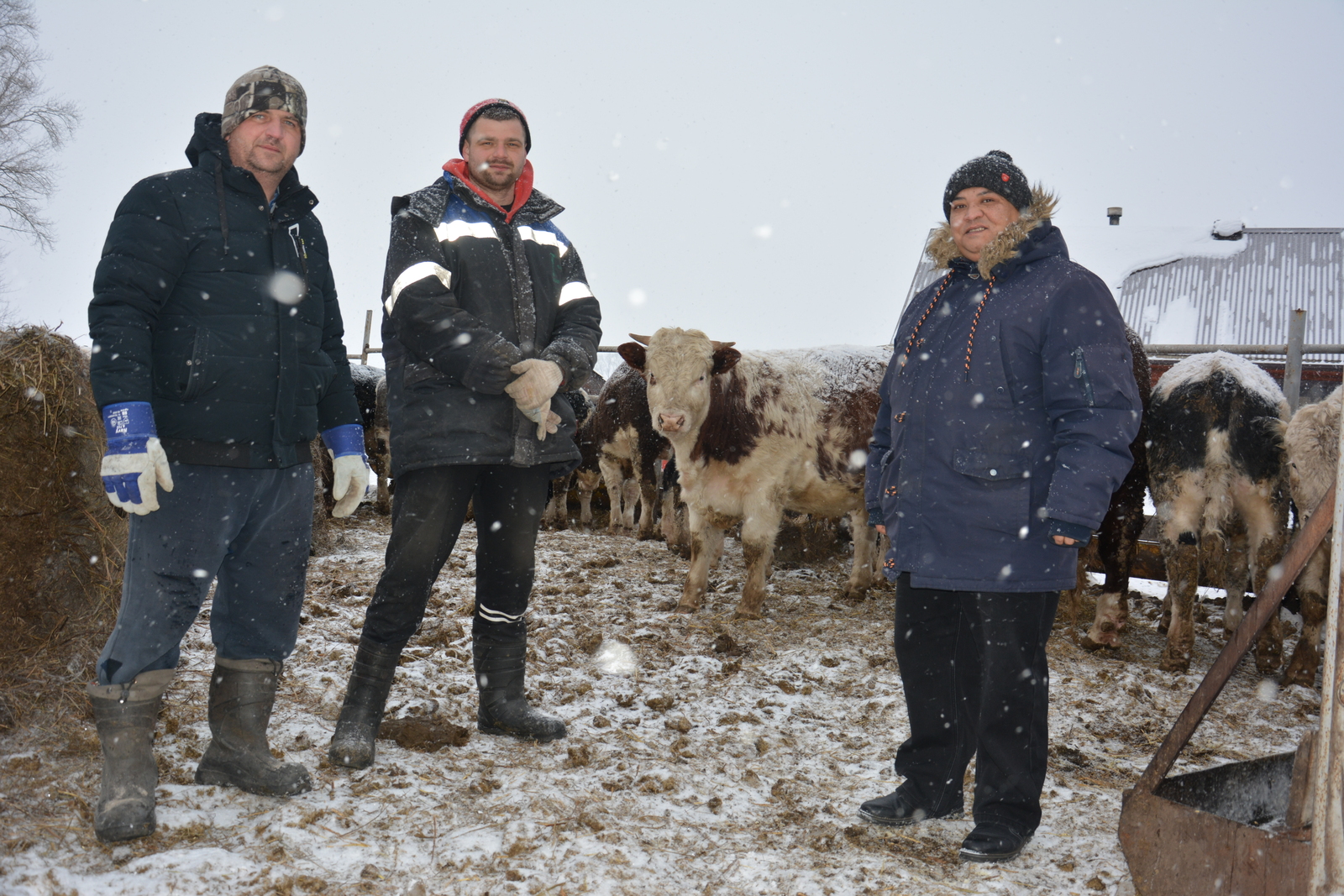 Хозяйство отца и сына процветает благодаря труду и заботе в Башкирии