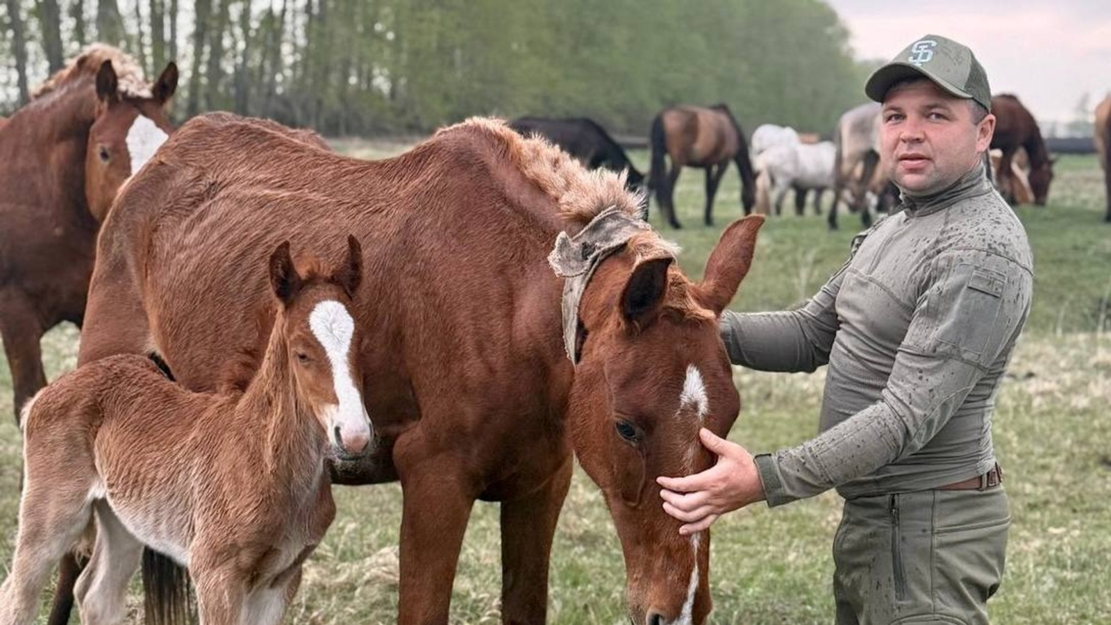 Треть урожая Башкирии обеспечивают почти 9 тысяч хозяйств