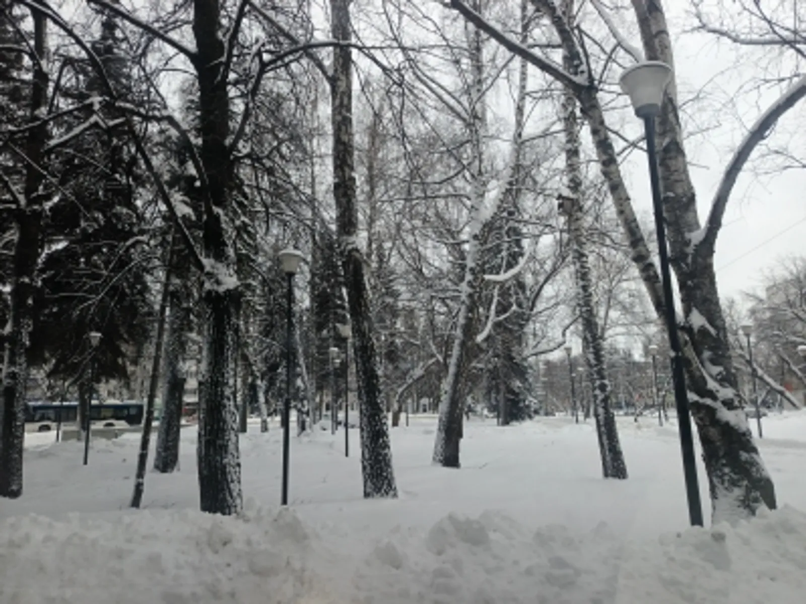 После -35° в Башкирию врывается резкое потепление и снегопады