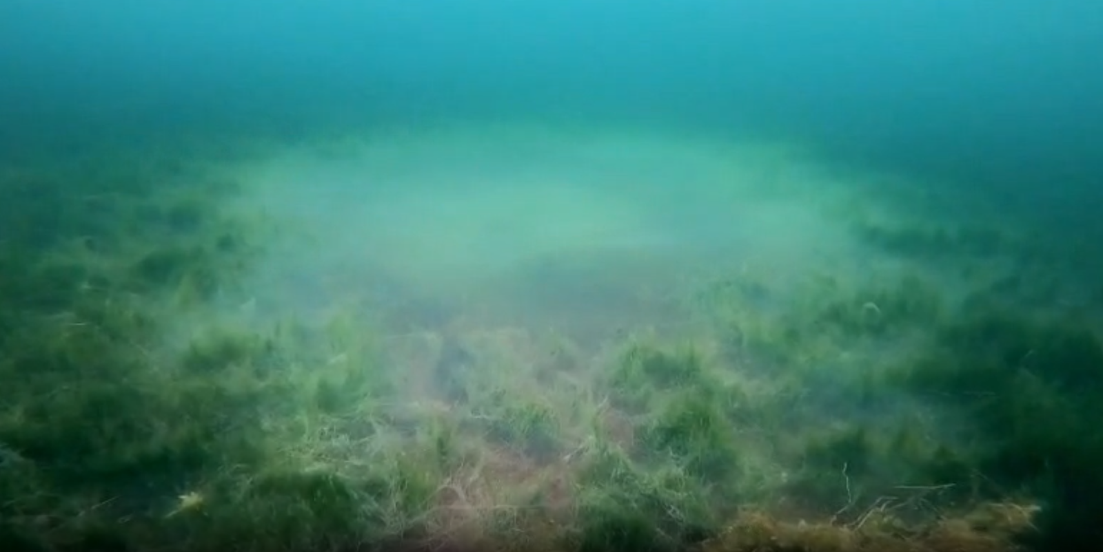 Необычное явление на озере в Башкирии: дайверы обнаружили загадочное облако