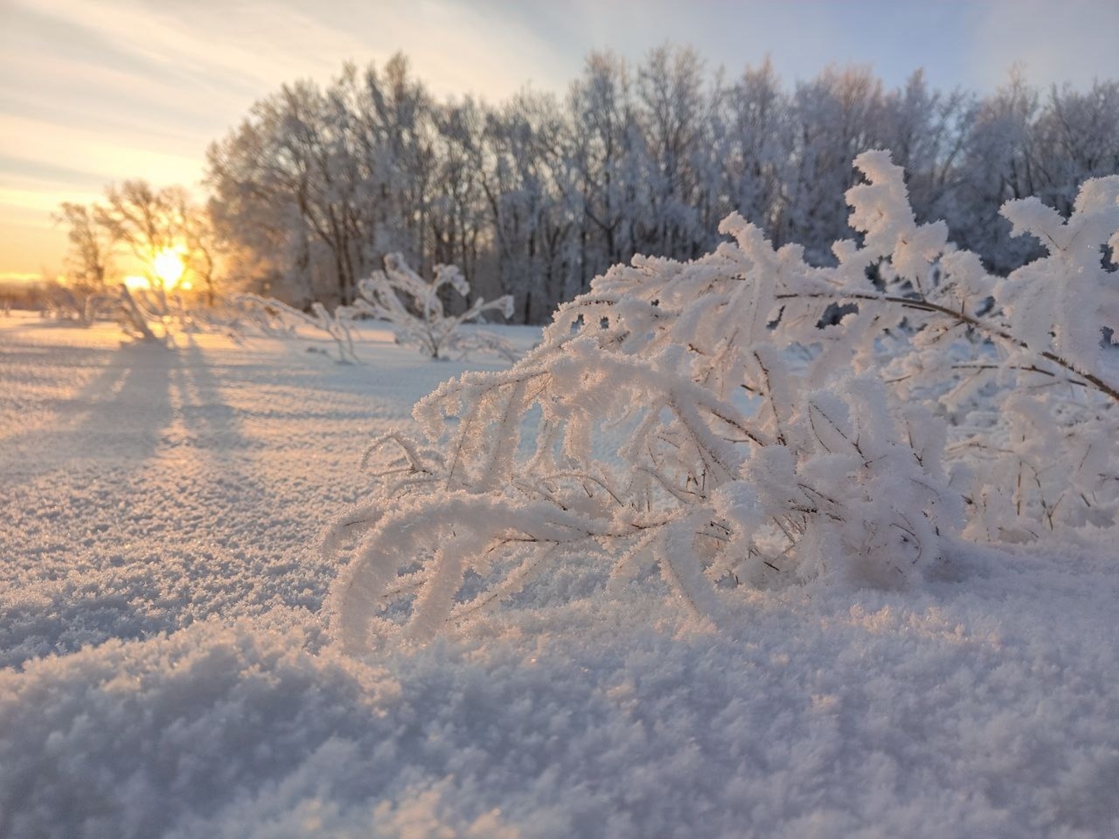 В Башкирию надвигается снежная буря