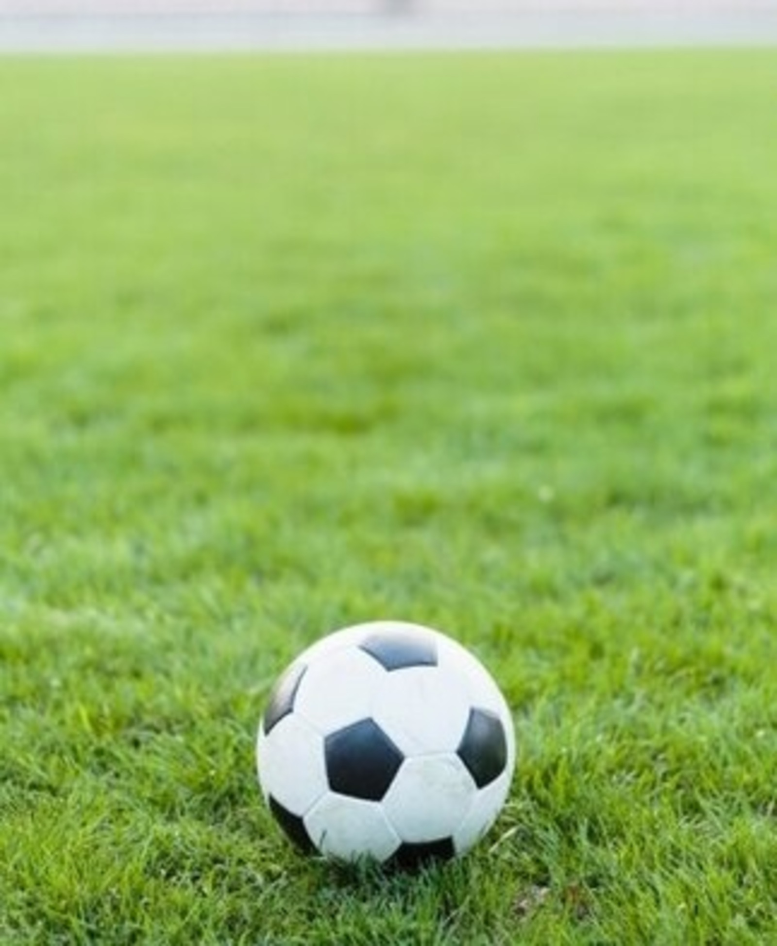 В Башкирии подписан закон о запрете договорных матчей