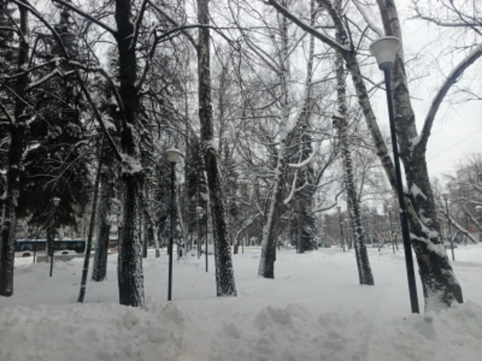 Атмосферные фронты принесут метели в Башкирию