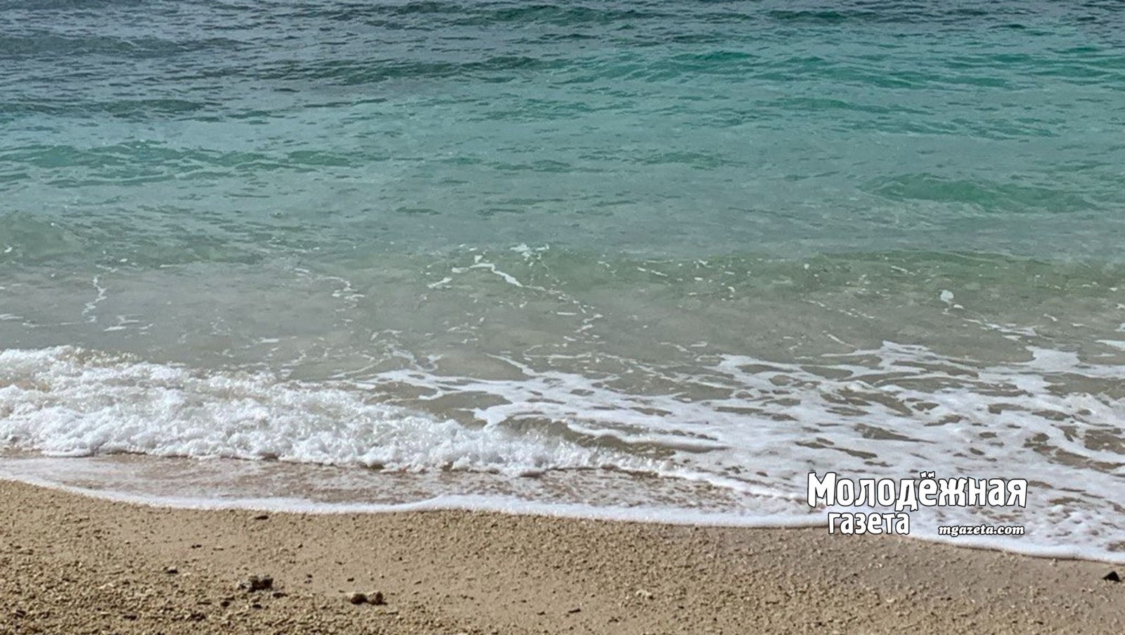 Как получить бесплатную путёвку в «Артек»