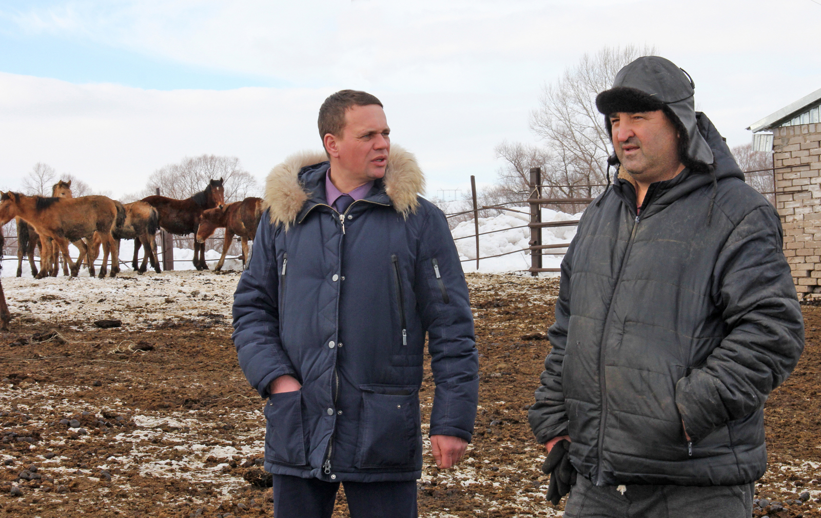 Супруги Юсуповы из Чишминского района двадцать пять лет занимаются разведением лошадей башкирской породы