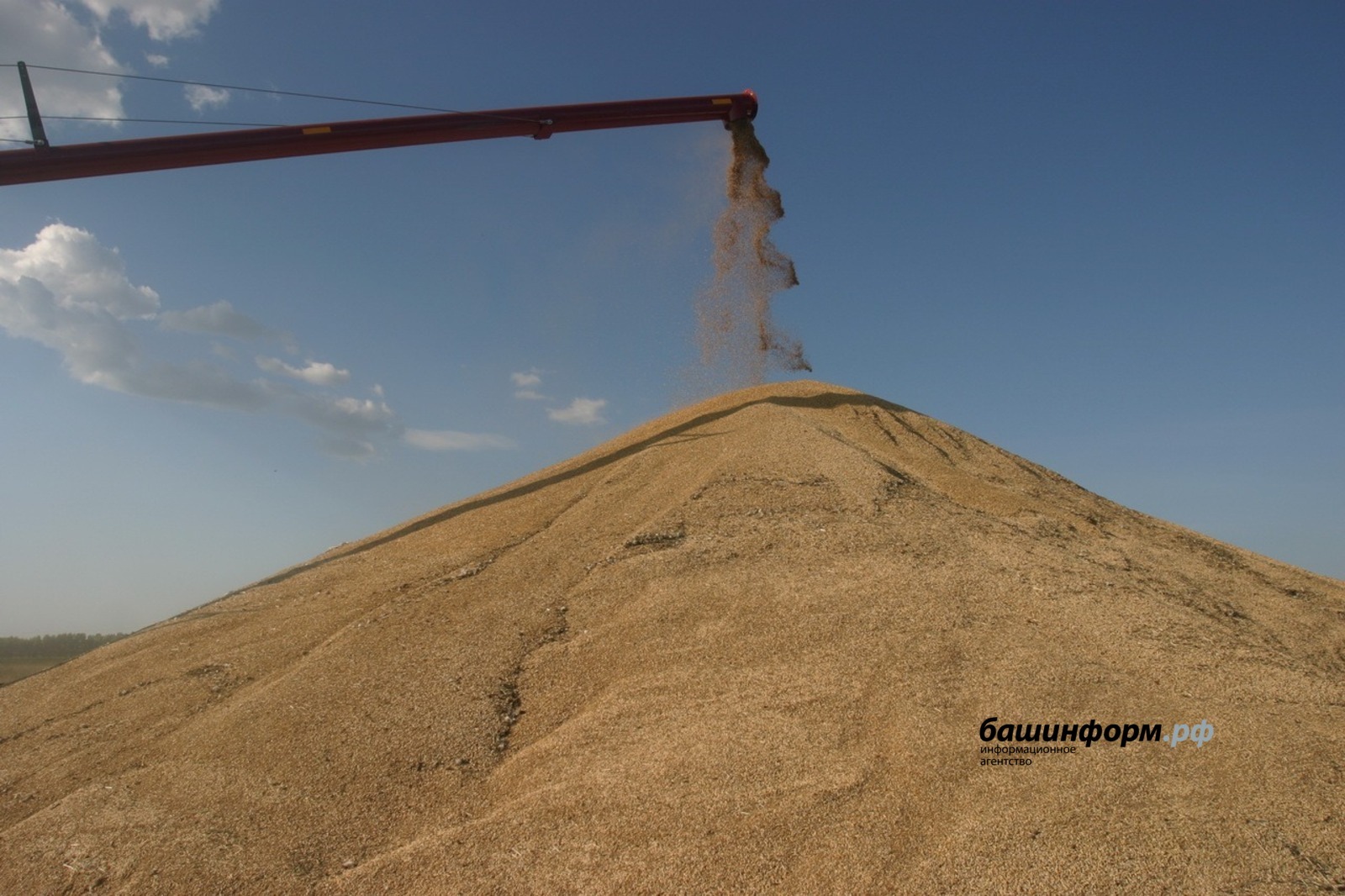 Башкирия покоряет мировые рынки: экспорт зерна набирает обороты