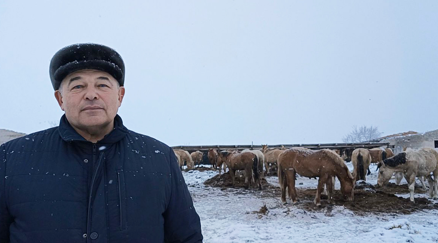 Одним из приоритетных направлений фермерского хозяйства Дамира Идиятуллина в селе Теперишево Чишминского района является коневодство