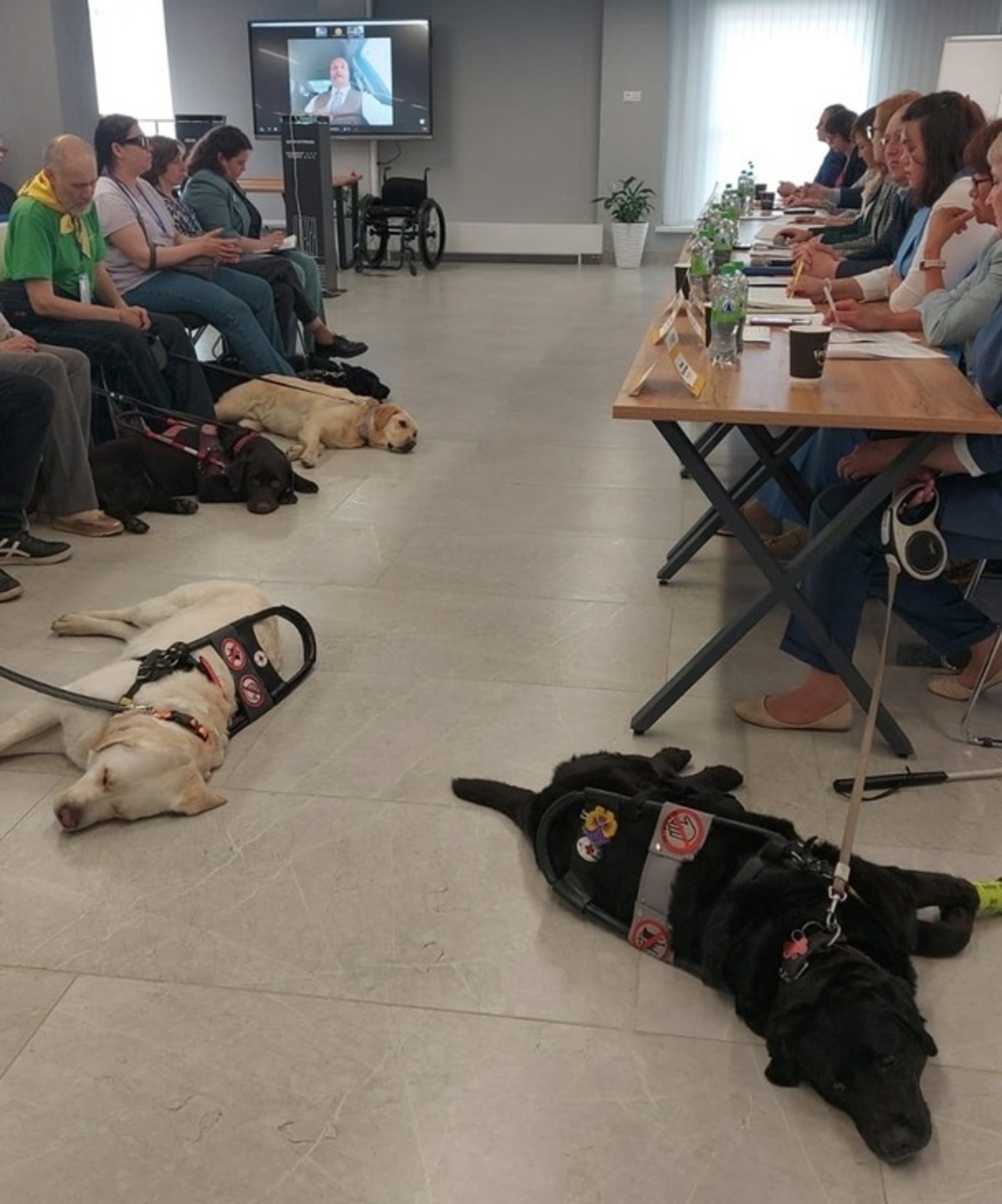 В Межвузовском кампусе Башкирии прошел круглый стол с участием собак-поводырей