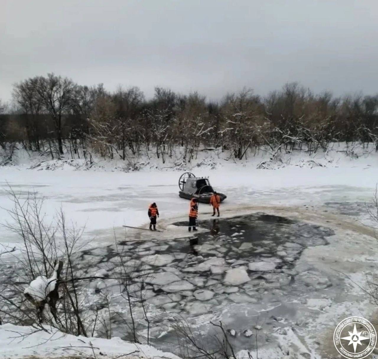 В Башкирии спасатели извлекли из озера 780 трупов овец