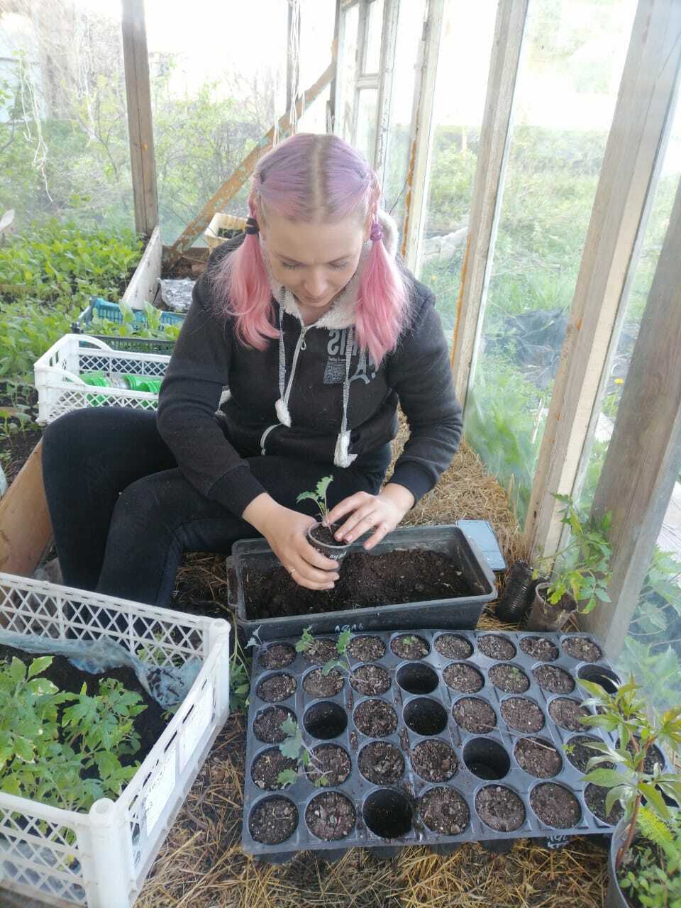 Огород без забот, или как нелюбимое занятие стало источником дохода для Елены Курбановой из Чишминского района