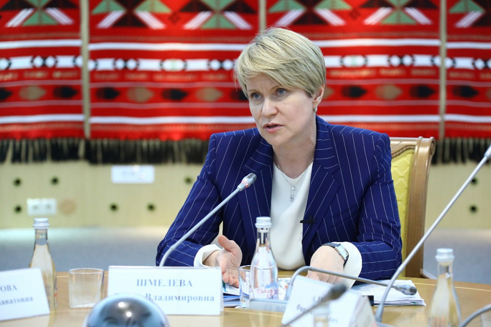 Елена Шмелева войдет в наблюдательный совет НОЦ